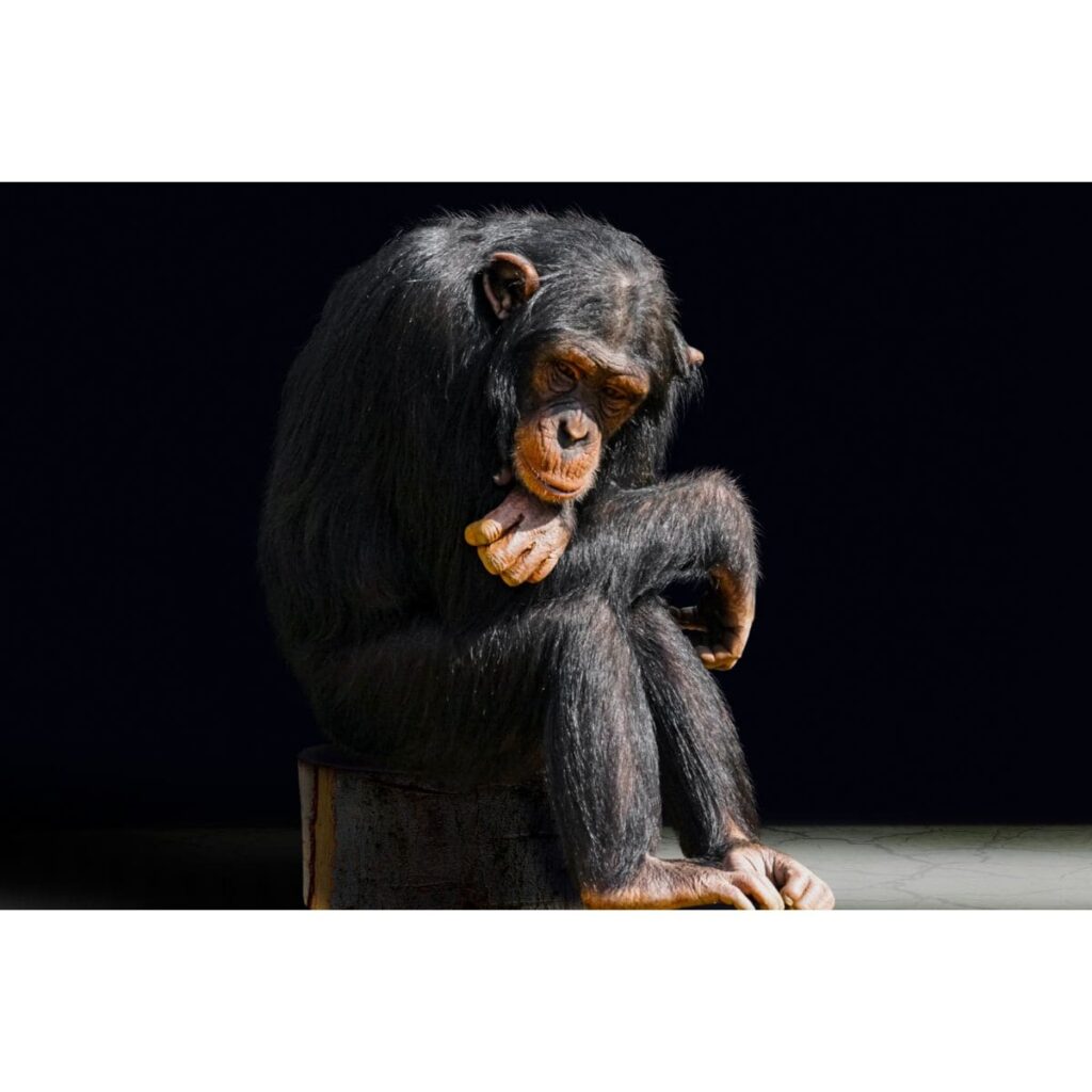 De indrukwekkende reden van je bestaan?